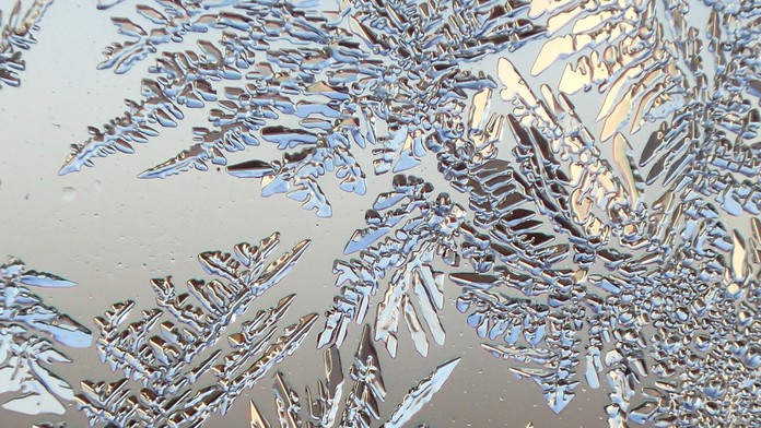 Kvety z mrazu za chvíľu roztopillo Slnko.