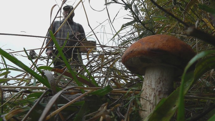 Ilustračná snímka.