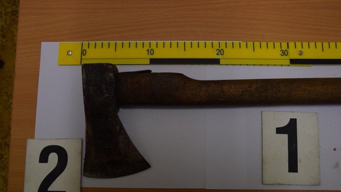 Zvlášť krutá bolesť a utrpenie. Muž mal sekerou napadnúť psa, veterinár ho musel utratiť