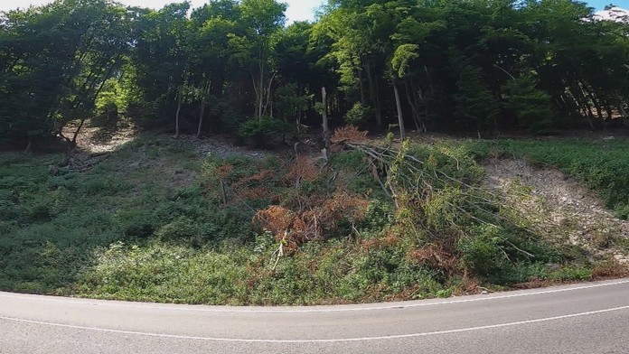 Vyvrátený strom leží na ceste pod Strečnom.