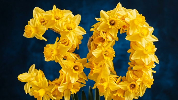 DEŇ NARCISOV – tradícia na Slovensku už 30 rokov. Na koho v ten deň myslíš ty?
