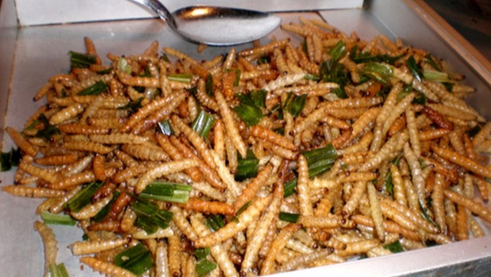 Netradičné jedlá na Vianoce.