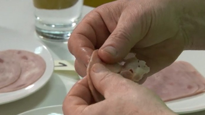 Test šuniek. Je medzi nimi aj tá vaša?