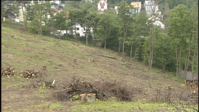 19 Dotacie a vyruby.transferweb_jpg_bez_watermarku_1.jpg