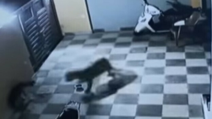 UROMXWTNAFZI-high_1080p.mp4