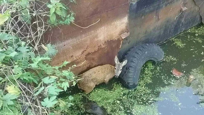 Hviezdy zo Sily ženy na spoločnom obede