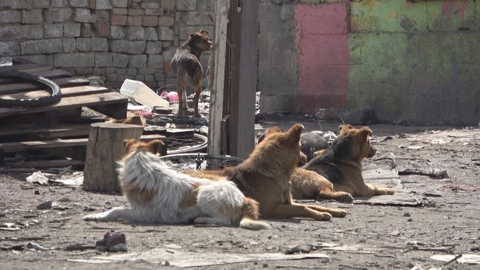 Ilustračná snímka.