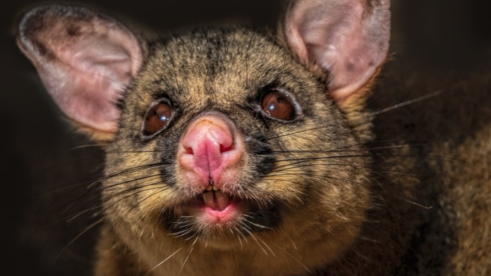 Ilustračná snímka. 