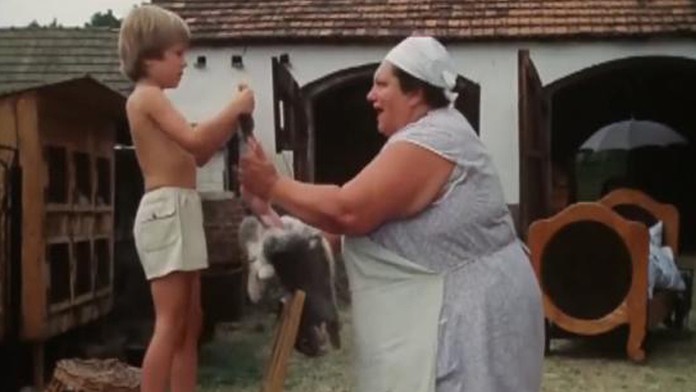 Slnce seno jahody, film