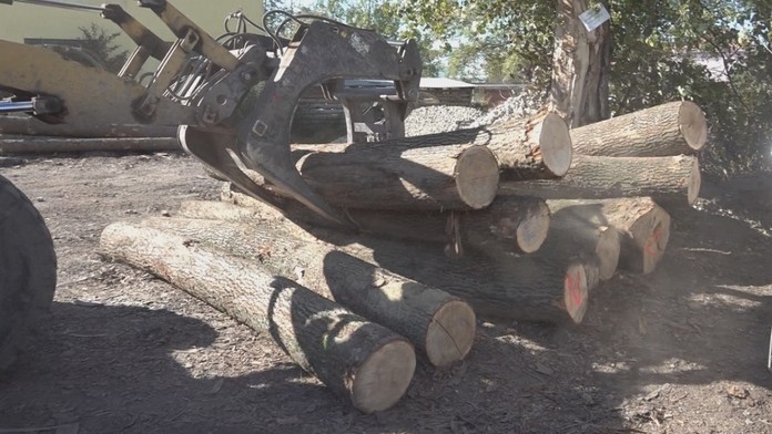 Ilustračná snímka.