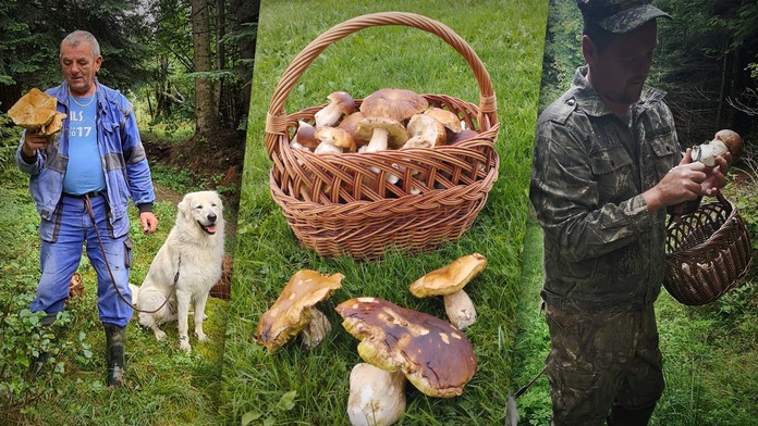 Slováci sa chvália svojimi úlovkami 