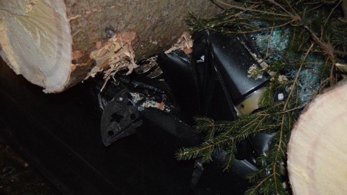 Na auto spadli dva stromy