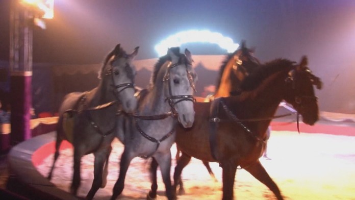 fitnes tehotenstvoweb_jpg_bez_watermarku_1.jpg