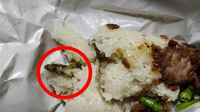 Muž si v jedle našiel nečakaný doplnok. Potom však prišlo ešte niečo horšie