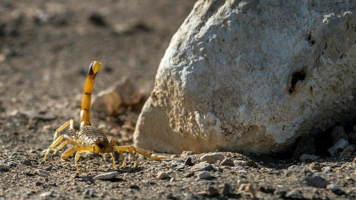 Ilustračná snímka. 