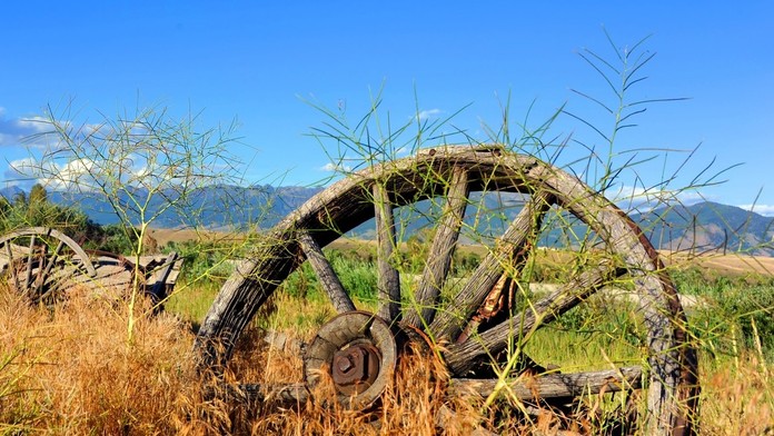 Koleso zrejme vzniklo na území dnešného Slovenska. Vedci pripisujú vynález bolerázskej kultúre