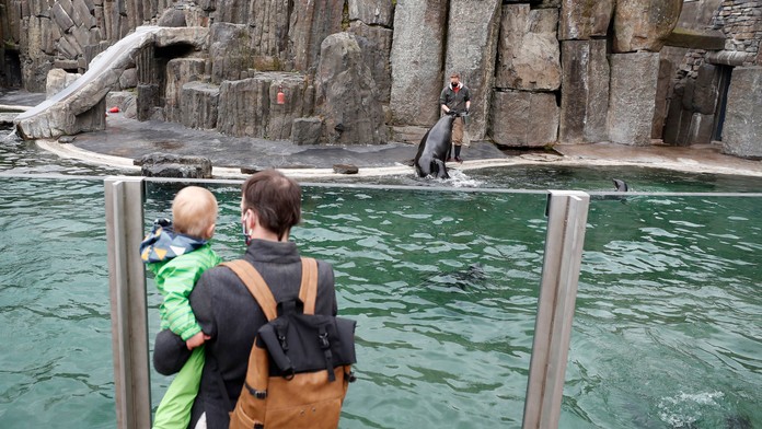 Ilustračná snímka