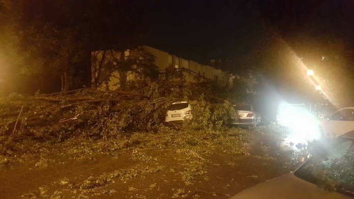 Spadnutý strom na Gwerkovej ulici v Bratislave.