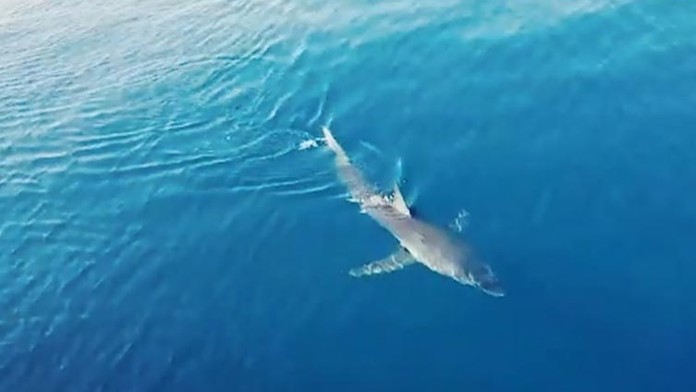 VID-20190618-WA0005.mp4