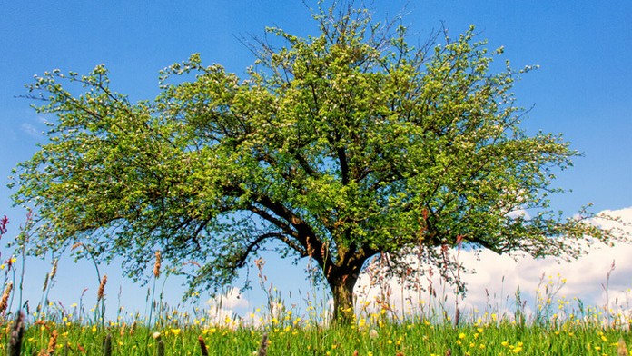 Zo zápasu Slovan - Michalovce.