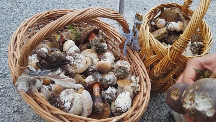 Ilustračná snímka.