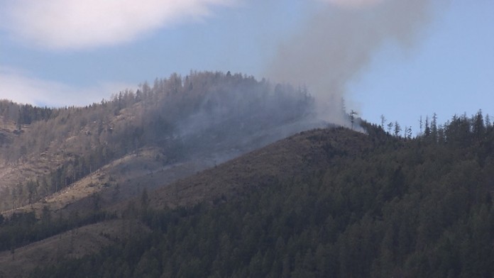 Pri Kravanoch horí les.