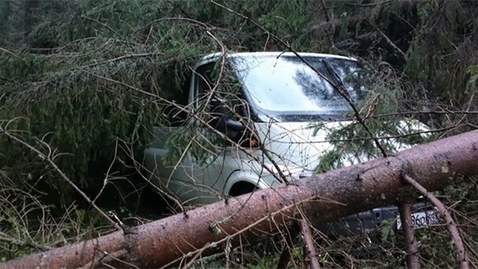Auto ruských turistov, na auto ktorých pred tomi rokmi padli stromy.