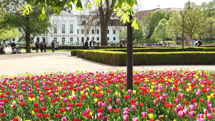 Grasalkovičova záhrada. 