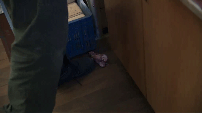 Bez servítky