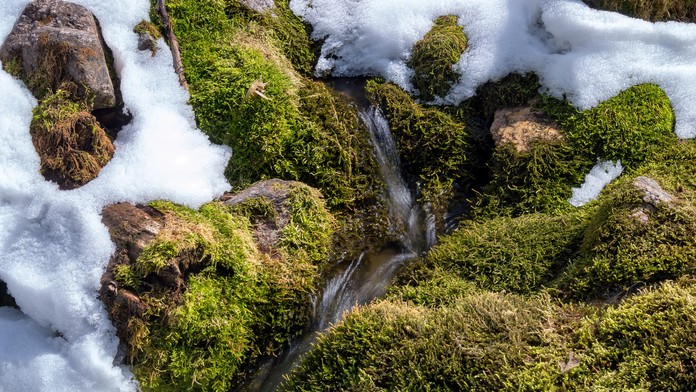 Roztápajúci sa sneh