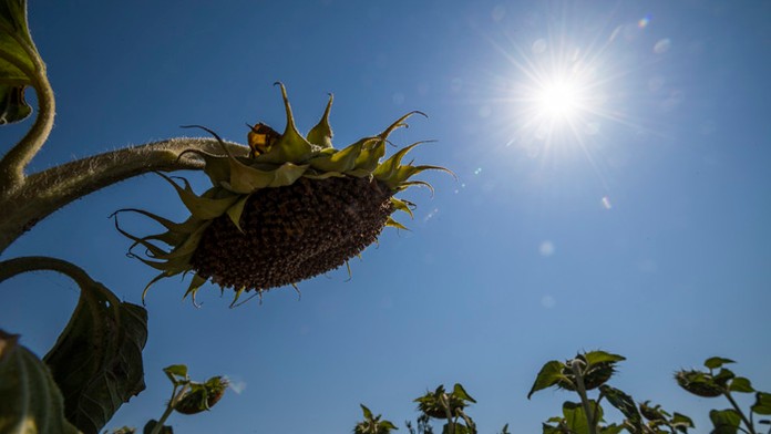 Ilustračná snímka.