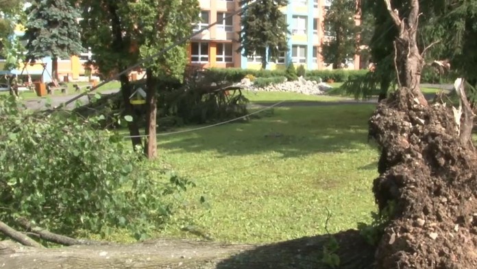 Pováľané stromy po víchrici.