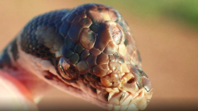 valec repka cesty_tvnoviny.mp4