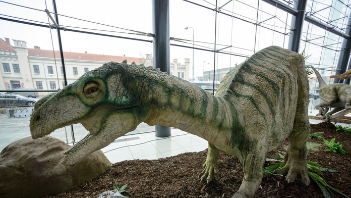 Ilustračná snímka.