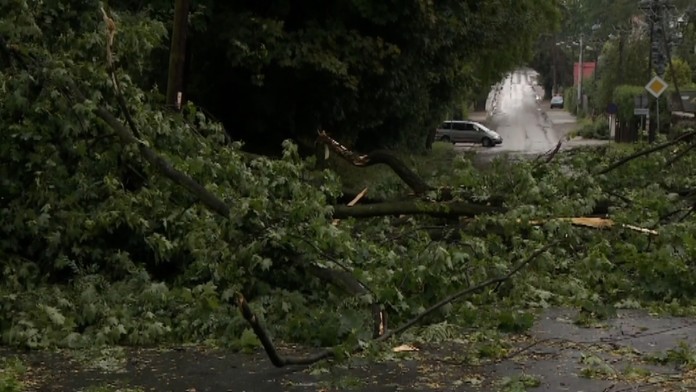 burky 1web_jpg_bez_watermarku_1.jpg