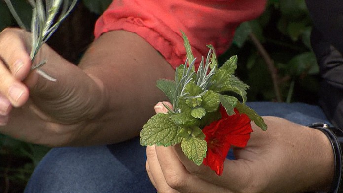 Prírodná lekárnička