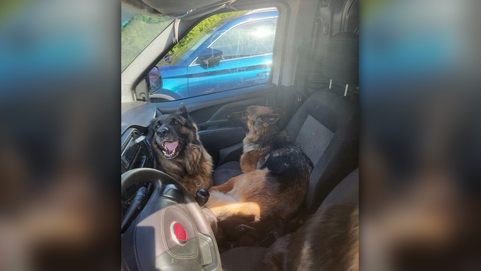 Psy boli smädné a vyhladované. 