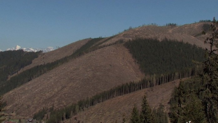 Výruby zhoršujú povodne.