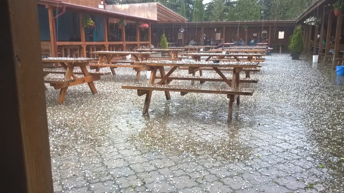 Ľadovec v Prešove.