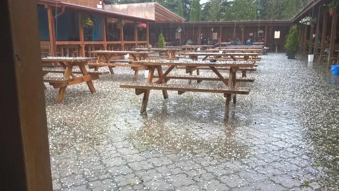 Ľadovec v Prešove.