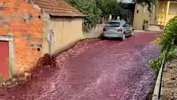 VIDEO: Ulice portugalského mesta zaplavili milióny litrov červeného vína