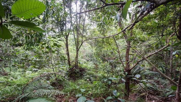 Vojaci si na pamiatku urobili spoločnú fotografiu.