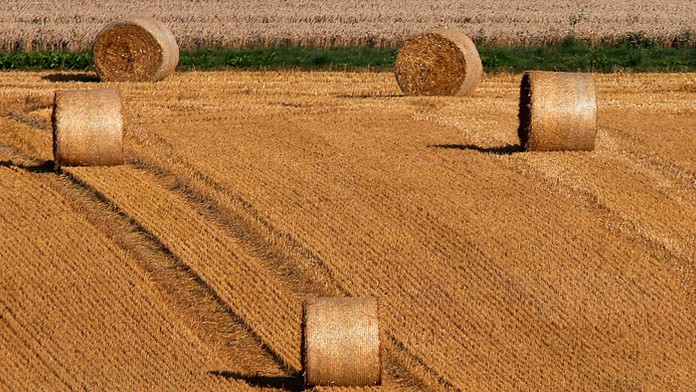 Ilustračná snímka.