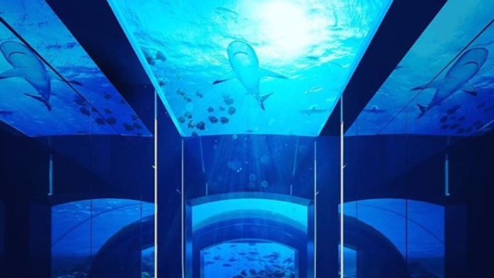 Apartmán plánujú otvoriť v novembri.