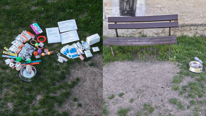 Veterinár chcel pomôcť psíčkarom. O niekoľko hodín bolo všetko fuč