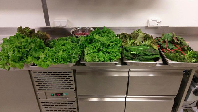 Šalát zo skleníka na Antarktíde.