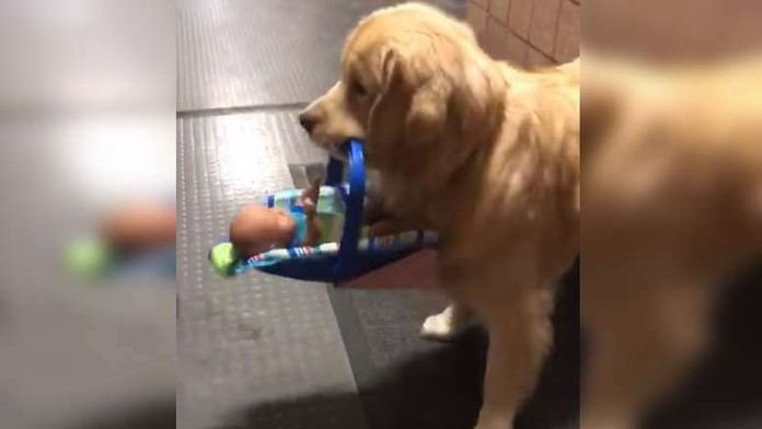 Tragická nehoda pod Zvolenským zámkom.