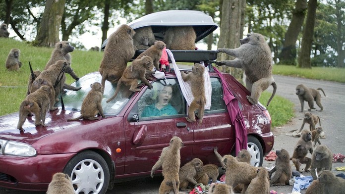 Výstrahy pred horúčavami.