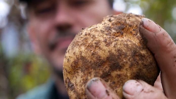 Základ liptovskej špeciality. 