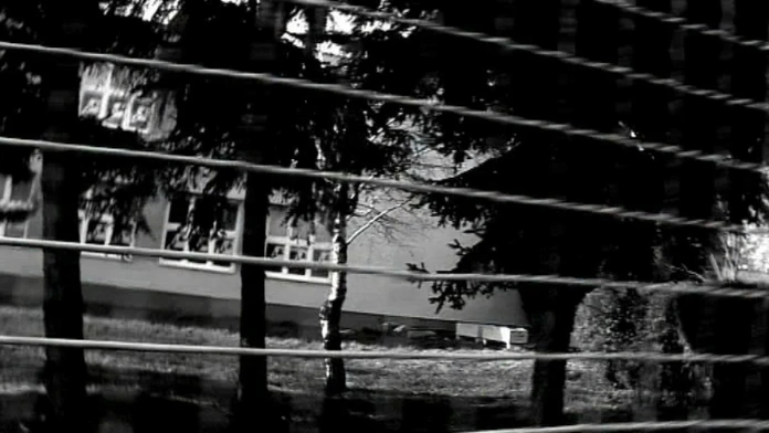 Škola
